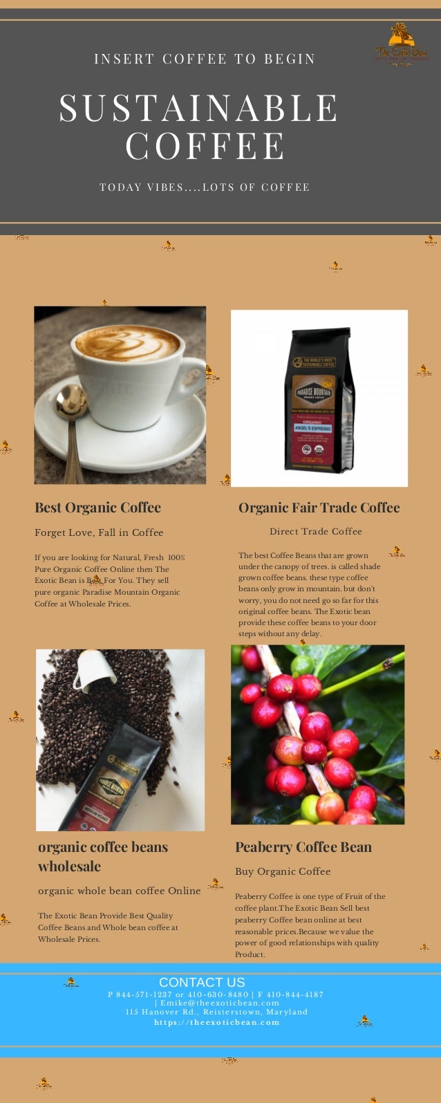 Best Sustainable Coffee Online