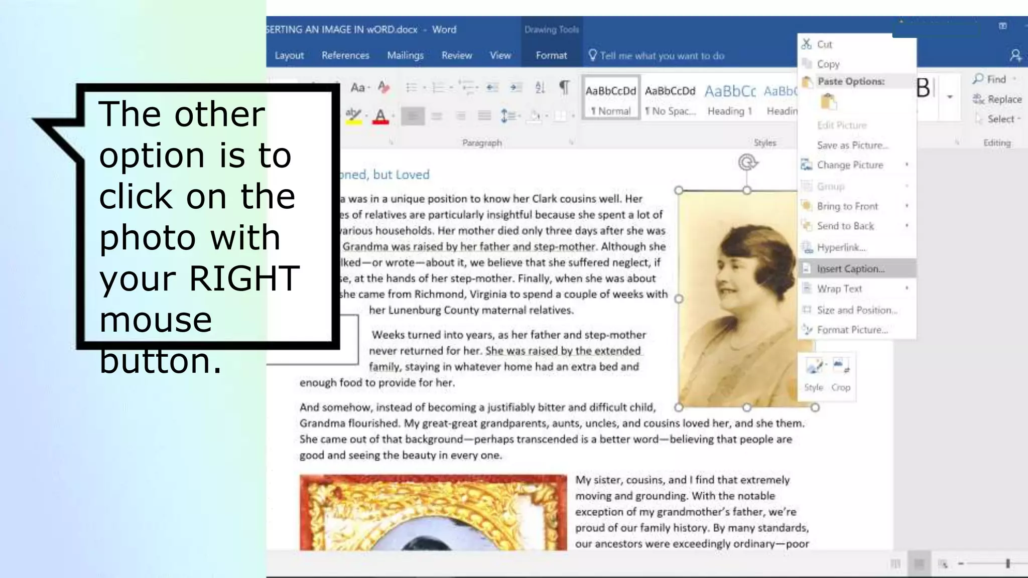 The other
option is to
click on the
photo with
your RIGHT
mouse
button.
 