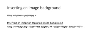 Inserting imagesin html | PPTX