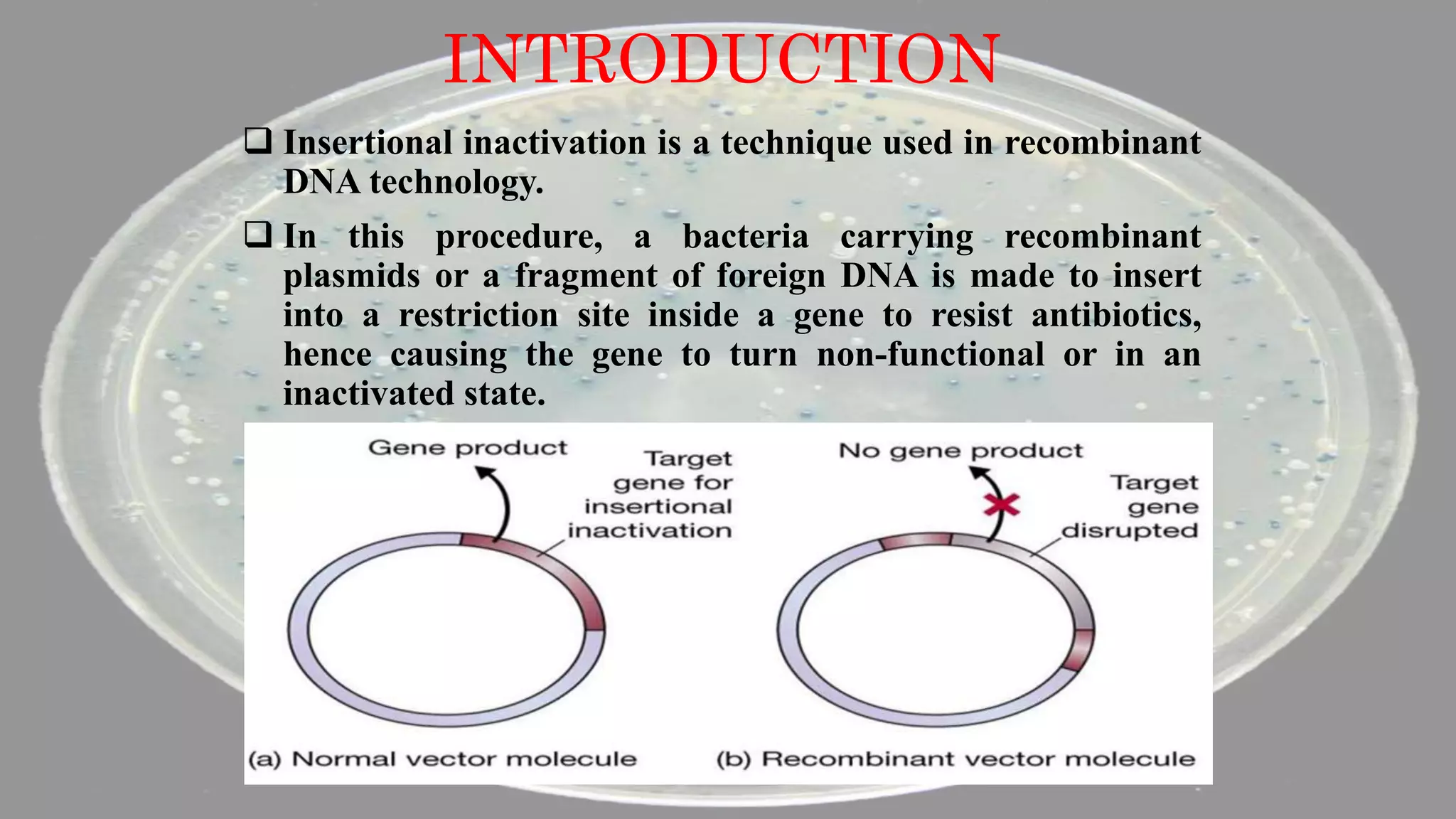 INTRODUCTION
 Insertional inactivation is a technique used in recombinant
DNA technology.
 In this procedure, a bacteria carrying recombinant
plasmids or a fragment of foreign DNA is made to insert
into a restriction site inside a gene to resist antibiotics,
hence causing the gene to turn non-functional or in an
inactivated state.
 
