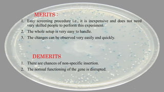 MERITS :
1. Easy screening procedure i.e., it is inexpensive and does not need
very skilled people to perform this experiment.
2. The whole setup is very easy to handle.
3. The changes can be observed very easily and quickly.
DEMERITS
1. There are chances of non-specific insertion.
2. The normal functioning of the gene is disrupted.
 