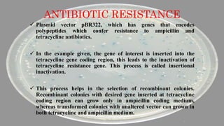 Insertional inactivation | PPTX | Biotech and Biomedical Industry ...