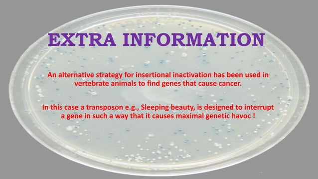 Insertional inactivation