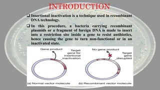 Insertional inactivation | PPT