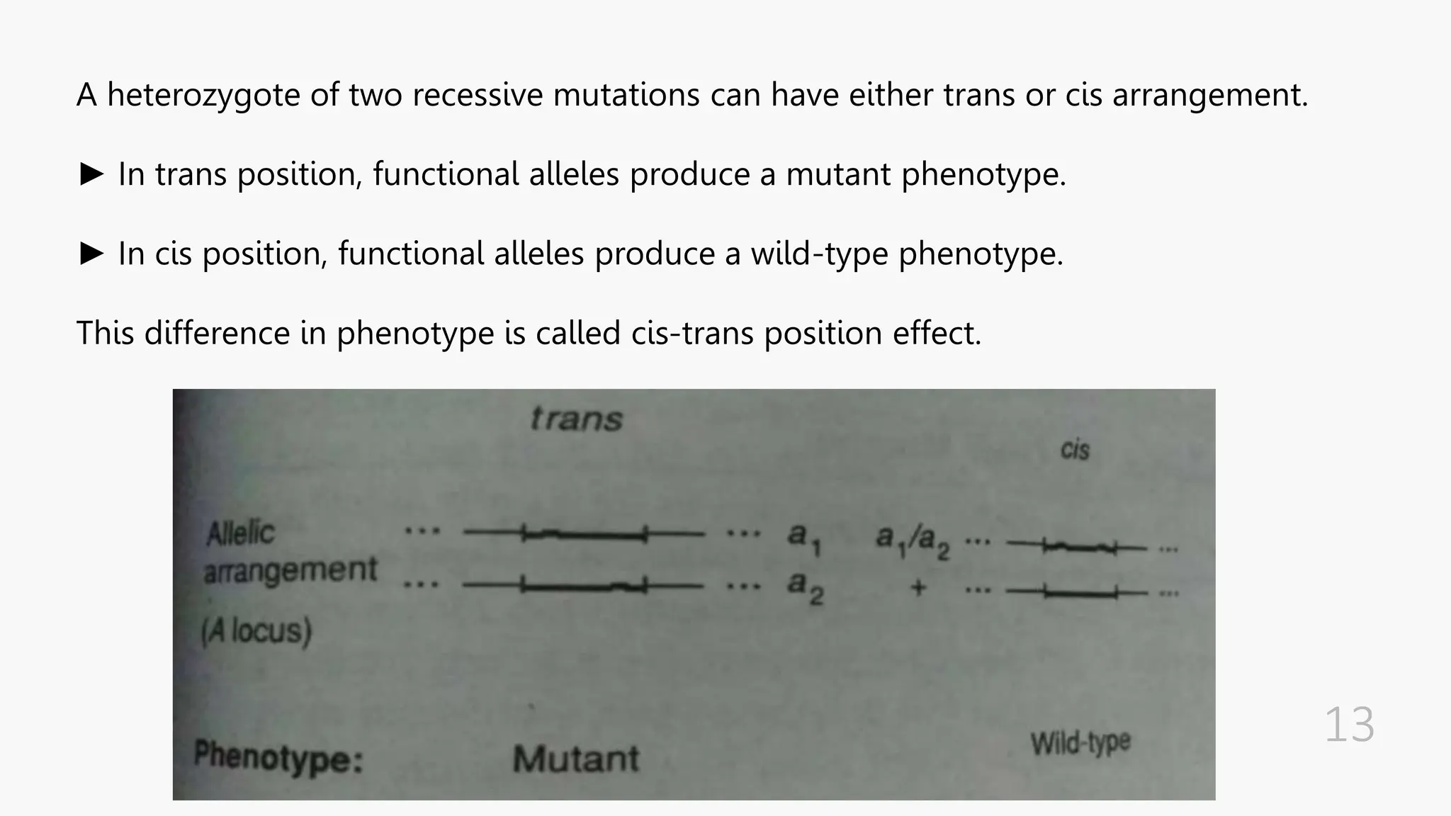A heterozygote of two recessive mutations can have either trans or cis arrangement.
► In trans position, functional alleles produce a mutant phenotype.
► In cis position, functional alleles produce a wild-type phenotype.
This difference in phenotype is called cis-trans position effect.
 