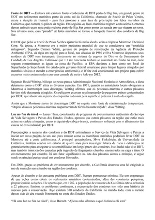 Fonte de DDT — Embora não existam fontes conhecidas de DDT perto de Big Sur, um grande ponto de
DDT em sedimentos marinhos perto da costa sul da Califórnia, chamado de Recife de Palos Verdes,
atraiu a atenção de Burnett – pois fica próximo a uma área de procriação dos leões marinhos da
Califórnia, que comem os peixes da região. Em seguida, os leões marinhos migram costa acima. Centenas
desses animais usam uma praia rochosa perto de Big Sur como ponto de parada em sua viagem ao norte.
Nos últimos anos, essa “parada” de leões marinhos se tornou o banquete favorito dos condores de Big
Sur.

O DDT que polui o Recife de Palos Verdes apareceu há meio século, com a empresa Montrose Chemical
Corp. Na época, a Montrose era a maior produtora mundial do que se considerava um “pesticida
milagroso”. Segundo Carmen White, gerente do projeto de remediação da Agência de Proteção
Ambiental (EPA, da sigla em inglês) para o local, nas décadas de 1950 e 60 a Montrose dispensou seus
resíduos de DDT sem tratamento diretamente no sistema de esgotos do Distrito de Saneamento do
Condado de Los Angeles. Estima-se que 1,7 mil toneladas tenham se assentado no fundo do mar, onde
seguem contaminando as águas da costa do Pacífico. A EPA declarou a área como um local do
Superfundo (o Superfundo foi criado pelo governo federal americano para limpar lugares atingidos por
materiais tóxicos e atender a emergências ambientais), e White está coordenando um projeto para cobrir
as partes mais contaminadas com uma camada de areia e lodo em 2012.

Segundo David Witting, biólogo de pesca para a Administração Nacional Oceânica e Atmosférica, a dieta
determina como o DDT afeta as diversas espécies. Em 1971, quando as autoridades locais obrigaram a
Montrose a interromper suas descargas, Witting afirmou que os pelicanos-marrons e outros pássaros
haviam sido duramente atingidos. Os pelicanos estavam se alimentando de pequenos peixes contaminados
por DDT, que absorviam o pesticida enquanto nadavam pela superfície próxima à saída do esgoto.

Assim que a Montrose parou de descarregar DDT no esgoto, essa fonte de contaminação desapareceu.
“Depois disso os pelicanos-marrons reapareceram de forma bastante rápida”, disse Witting.

Luz no fim do túnel — James Haas, coordenador do programa de contaminantes ambientais do Serviço
de Vida Selvagem e Peixes dos Estados Unidos, apontou que outros pássaros da região que estão mais
acima na cadeia alimentar, como as águias-de-cabeça-branca, continuam sofrendo com o afinamento das
cascas de ovos induzido por DDT.

Preocupações a respeito dos condores e do DDT estimularam o Serviço de Vida Selvagem e Peixes a
iniciar um novo projeto de um ano para estudar como os mamíferos marinhos poderiam levar DDT da
Montrose até a costa californiana. A principal pesquisadora, Myra Finkelstein, da Universidade da
Califórnia, também conduz um estudo de quatro anos para investigar fatores de risco e estratégias de
gerenciamento para assegurar a sustentabilidade em longo prazo dos condores. Isso inclui não só o DDT,
mas também intoxicações causadas pela ingestão de fragmentos chumbo, encontrados na caça a tiros. O
envenenamento por chumbo foi um fator significativo na luta dos pássaros contra a extinção, e segue
sendo o principal perigo atual aos condores libertados.

Em 2008, graças ao problema do envenenamento por chumbo, a Califórnia decretou uma lei exigindo o
uso de munição sem chumbo na região dos condores.

Apesar do chumbo e do crescente problema com DDT, Burnett permanece otimista. Ele tem esperanças
de que ações como cobrir os sedimentos marinhos contaminados, além das constantes pesquisas,
proporcionarão soluções. Ele aponta que, em 1982, a população de condores da Califórnia estava reduzida
a 22 pássaros. Embora os problemas continuem, a recuperação dos condores tem sido uma história de
sucesso para a conservação. Hoje existem 380 condores da Califórnia no mundo todo, com a metade
desses titãs do céu voando livremente no oeste dos Estados Unidos.

“Há uma luz no fim do túnel”, disse Burnett. “Apenas não sabemos a que distância ela está”
 