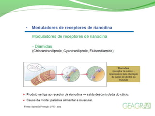 Fonte: Apostila Proteção UFG - 2015
 