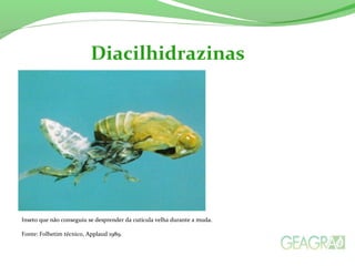 Inseto que não conseguiu se desprender da cutícula velha durante a muda.
Fonte: Folhetim técnico, Applaud 1989.
Diacilhidrazinas
 
