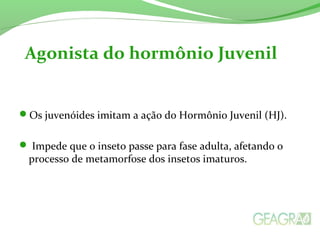 Os juvenóides imitam a ação do Hormônio Juvenil (HJ).
 Impede que o inseto passe para fase adulta, afetando o
processo de metamorfose dos insetos imaturos.
Agonista do hormônio Juvenil
 