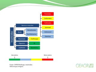 Fonte: CNPSOEmbrapa, inseticidas -
Helicoverpa armigera.
 