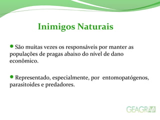 São muitas vezes os responsáveis por manter as
populações de pragas abaixo do nível de dano
econômico.
Representado, especialmente, por entomopatógenos,
parasitoides e predadores.
Inimigos Naturais
 