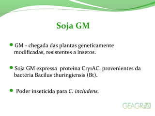 GM - chegada das plantas geneticamente
modificadas, resistentes a insetos.
Soja GM expressa proteína Cry1AC, provenientes da
bactéria Bacilus thuringiensis (Bt).
 Poder inseticida para C. includens.
Soja GM
 