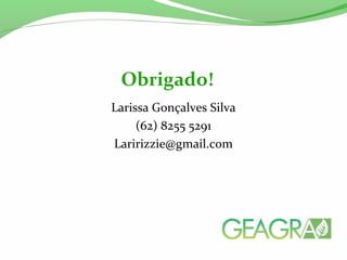 Larissa Gonçalves Silva
(62) 8255 5291
Laririzzie@gmail.com
Obrigado!
 