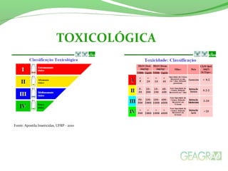 TOXICOLÓGICA
Fonte: Apostila Inseticidas, UFRP - 2010
 
