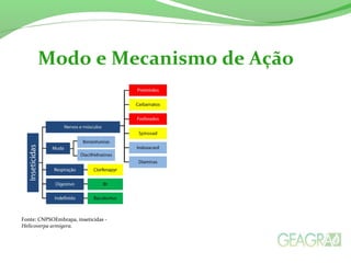 Texto ou subtópicos.
Modo e Mecanismo de Ação
Fonte: CNPSOEmbrapa, inseticidas -
Helicoverpa armigera.
 