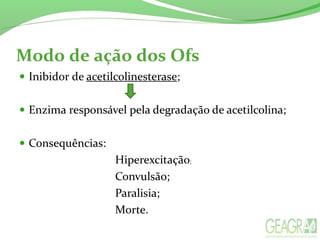 Modo de ação dos Ofs
 