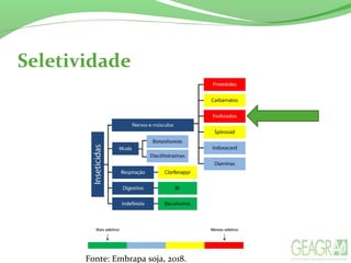 Seletividade
Fonte: Embrapa soja, 2018.
 