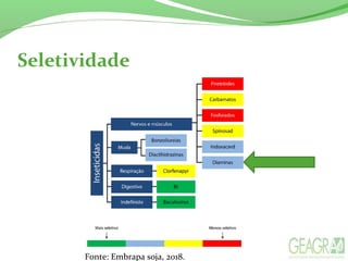 Seletividade
Fonte: Embrapa soja, 2018.
 