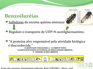Benzoiluréias
Inibidores da enzima quitina sintetaze;
Regulam o transporte de UDP-N-acetilglucosamino.
“A proteína alvo responsável pela atividade biológica
é desconhecida.”
Fonte das imagens: Entomologia aplicada; Bula CERTERO – Bayer, 2018.
 