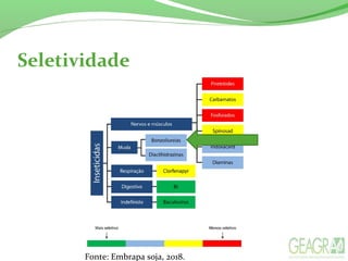 Seletividade
Fonte: Embrapa soja, 2018.
 