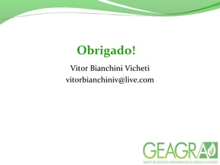 Obrigado!
Vitor Bianchini Vicheti
vitorbianchiniv@live.com
 