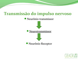 Transmissão do impulso nervoso
Neurônio transmissor
Neurotransmissor
Neurônio Receptor
 