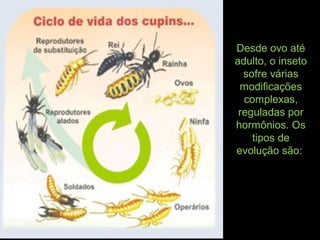 Desde ovo até
adulto, o inseto
sofre várias
modificações
complexas,
reguladas por
hormônios. Os
tipos de
evolução são:
 