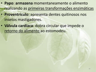 • Papo: armazena momentaneamente o alimento
realizando as primeiras transformações enzimáticas
• Proventrículo: apresenta dentes quitinosos nos
insetos mastigadores.
• Válvula cardíaca: dobra circular que impede o
retorno do alimento ao estomodeu.
18
 