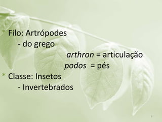 * Filo: Artrópodes
- do grego
arthron = articulação
podos = pés
* Classe: Insetos
- Invertebrados
3
 