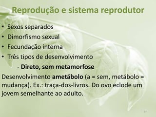 Reprodução e sistema reprodutor
• Sexos separados
• Dimorfismo sexual
• Fecundação interna
• Três tipos de desenvolvimento
- Direto, sem metamorfose
Desenvolvimento ametábolo (a = sem, metábolo =
mudança). Ex.: traça-dos-livros. Do ovo eclode um
jovem semelhante ao adulto.
37
 