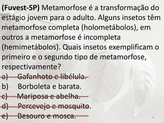 (Fuvest-SP) Metamorfose é a transformação do
estágio jovem para o adulto. Alguns insetos têm
metamorfose completa (holometábolos), em
outros a metamorfose é incompleta
(hemimetábolos). Quais insetos exemplificam o
primeiro e o segundo tipo de metamorfose,
respectivamente?
a) Gafanhoto e libélula.
b) Borboleta e barata.
c) Mariposa e abelha.
d) Percevejo e mosquito.
e) Besouro e mosca. 46
 