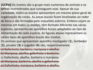 (UCPel) Os insetos são o grupo mais numeroso de animais e os
únicos invertebrados que conseguem voar. Apesar de sua
variedade, todos os insetos apresentam um mesmo plano geral de
organização do corpo. As peças bucais ficam localizadas ao redor
da boca e são formadas pelo esqueleto externo. Embora sejam as
mesmas em todos os insetos, têm formato diferente nas várias
espécies, apresentando aparelhos bucais adaptados ao tipo de
alimentação de cada espécie. As figuras abaixo representam os
vários tipos de aparelhos bucais dos insetos.
Os animais que apresentam aparelho mastigador (1), lambedor
(2), picador (3) e sugador (4) são, respectivamente:
a) Gafanhoto, barbeiro, mariposa e abelha.
b) Mariposa, abelha, gafanhoto e barbeiro.
c) Gafanhoto, abelha, barbeiro e mariposa.
d) Mariposa, barbeiro, abelha e gafanhoto.
e) Gafanhoto, mariposa, barbeiro e abelha. 53
 