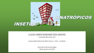 LUCAS HEBER MARIANO DOS SANTOS
lucasheber@outlook.com
Universidade Federal de Mato Grosso – CUA – Unidade I
Seminário de Entomologia
28 de janeiro de 2015
 