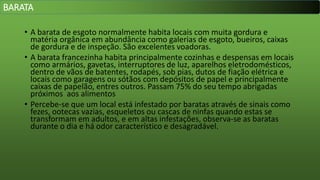 • A barata de esgoto normalmente habita locais com muita gordura e
matéria orgânica em abundância como galerias de esgoto, bueiros, caixas
de gordura e de inspeção. São excelentes voadoras.
• A barata francezinha habita principalmente cozinhas e despensas em locais
como armários, gavetas, interruptores de luz, aparelhos eletrodomésticos,
dentro de vãos de batentes, rodapés, sob pias, dutos de fiação elétrica e
locais como garagens ou sótãos com depósitos de papel e principalmente
caixas de papelão, entres outros. Passam 75% do seu tempo abrigadas
próximos aos alimentos
• Percebe-se que um local está infestado por baratas através de sinais como
fezes, ootecas vazias, esqueletos ou cascas de ninfas quando estas se
transformam em adultos, e em altas infestações, observa-se as baratas
durante o dia e há odor característico e desagradável.
BARATA
 