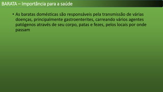 • As baratas domésticas são responsáveis pela transmissão de várias
doenças, principalmente gastroenterites, carreando vários agentes
patógenos através de seu corpo, patas e fezes, pelos locais por onde
passam
BARATA – Importância para a saúde
 