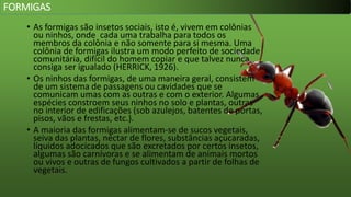 • As formigas são insetos sociais, isto é, vivem em colônias
ou ninhos, onde cada uma trabalha para todos os
membros da colônia e não somente para si mesma. Uma
colônia de formigas ilustra um modo perfeito de sociedade
comunitária, difícil do homem copiar e que talvez nunca
consiga ser igualado (HERRICK, 1926).
• Os ninhos das formigas, de uma maneira geral, consistem
de um sistema de passagens ou cavidades que se
comunicam umas com as outras e com o exterior. Algumas
espécies constroem seus ninhos no solo e plantas, outras
no interior de edificações (sob azulejos, batentes de portas,
pisos, vãos e frestas, etc.).
• A maioria das formigas alimentam-se de sucos vegetais,
seiva das plantas, néctar de flores, substâncias açucaradas,
líquidos adocicados que são excretados por certos insetos,
algumas são carnívoras e se alimentam de animais mortos
ou vivos e outras de fungos cultivados a partir de folhas de
vegetais.
FORMIGAS
 
