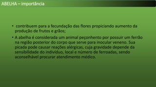 • contribuem para a fecundação das flores propiciando aumento da
produção de frutos e grãos;
• A abelha é considerada um animal peçonhento por possuir um ferrão
na região posterior do corpo que serve para inocular veneno. Sua
picada pode causar reações alérgicas, cuja gravidade depende da
sensibilidade do indivíduo, local e número de ferroadas, sendo
aconselhável procurar atendimento médico.
ABELHA – importância
 