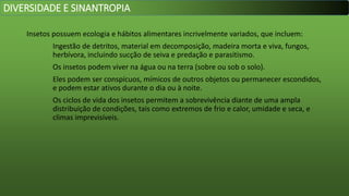 Insetos possuem ecologia e hábitos alimentares incrivelmente variados, que incluem:
Ingestão de detritos, material em decomposição, madeira morta e viva, fungos,
herbívora, incluindo sucção de seiva e predação e parasitismo.
Os insetos podem viver na água ou na terra (sobre ou sob o solo).
Eles podem ser conspícuos, mímicos de outros objetos ou permanecer escondidos,
e podem estar ativos durante o dia ou à noite.
Os ciclos de vida dos insetos permitem a sobrevivência diante de uma ampla
distribuição de condições, tais como extremos de frio e calor, umidade e seca, e
climas imprevisíveis.
DIVERSIDADE E SINANTROPIA
 