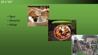 • Água
• Alimento
• Abrigo
OS 3 “AS”
 