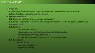 a) Pragas de:
a.1 plantas cultivadas (prejuízos para a alimentação, economia e meio ambiente)
a.2 construções e vestuário (cupins e traças)
b) Agentes de doenças
b.1. Biológico (piolhos, ácaros, moscas, pulgas etc.)
b.2. Físico { traumático (besouros, percevejo); respiratório (ácaros de poeira, escamas de
mariposas etc.)}
b.3. Químico:
- peçonhentos (vespas);
- cáusticos ( percevejos, besouros, lagartas de borboletas);
- nauseantes ( percevejos, besouros );
- imunológicos (reações a picadas, ao contato c/lagartas).
b.4. Psicológico:
-entomofobia;
-parasitoses ilusórias;
-fator de incômodo.
INSETOS NOCIVOS
 