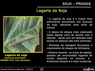 Suporte Técnico ao Mercado – 2003/04
SOJA – PRAGAS
Lagarta da soja
Anticarsia gemmatalis
HÜBNER 1818 - Lep., Noctuidae
• A Lagarta da soja é o inseto mais
comumente encontrado nas lavouras
de soja, atacando área foliar da
cultura
• A ápoca de ataque mais acentuado
desta lagarta varia de acordo com a
latitude , sendo que em latitudes mais
baixas os ataques são mais precoces
• Períodos de estiagem favorecem o
crescimento do ataque de Anticarsia
• Embora durante os picos de ataque
possam ser encontradas lagartas de
outras espécies na lavoura, a
Anticarsia sempre é a mais numerosa
Lagarta da Soja
 