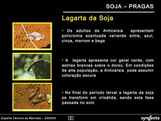 Suporte Técnico ao Mercado – 2003/04
SOJA – PRAGAS
• Os adultos da Anticarsia apresentam
policromia acentuada variando entre, azul,
cinza, marrom e bege
Lagarta da Soja
• A lagarta apresenta cor geral verde, com
estrias brancas sobre o dorso. Em condições
de alta população, a Anticarsia pode assumir
coloração escura
• No final do período larval a lagarta da soja
se transform em crisálida, sendo esta fase
passada no solo
 
