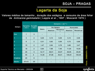Suporte Técnico ao Mercado – 2003/04
SOJA – PRAGAS
Consumo ( cm ² )
Por Estágio Acumulado
Estágio
Tamanho
( mm )
Duração
( dias )
Diário
Absoluto
Percentua
l
Absoluto Percent ual
Ovo 1 3 - - - - -
1 3 2 0,05 0,10 0,09 0,10 0,09
2 9 2 0,31 0,62 0,59 0,72 0,68
3 15 2 1,47 2,94 2,78 3,66 3,47
4 18 2 0,94 7,88 7,46 11,54 10,93
5 25 3 12,17 36,51 34,57 48,05 45,50
6 50 4 14,39 57,56 54,51 105,61 100,00
Crisálida 20 9 - - - - -
Adulto 37x12 20 - - - - -
Valores médios de tamanho , duração dos estágios e consumo de área foliar
de Anticarsia gemmatalis ( Leppla et al , 1997 ; Moscardi 1979 )
Fonte;EMBRAPA1988
Lagarta da Soja
 