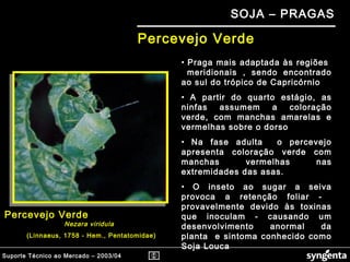 Suporte Técnico ao Mercado – 2003/04
SOJA – PRAGAS
Percevejo Verde
Percevejo Verde
Nezara viridula
(Linnaeus, 1758 - Hem., Pentatomidae)
• Praga mais adaptada às regiões
meridionais , sendo encontrado
ao sul do trópico de Capricórnio
• A partir do quarto estágio, as
ninfas assumem a coloração
verde, com manchas amarelas e
vermelhas sobre o dorso
• Na fase adulta o percevejo
apresenta coloração verde com
manchas vermelhas nas
extremidades das asas.
• O inseto ao sugar a seiva
provoca a retenção foliar -
provavelmente devido às toxinas
que inoculam - causando um
desenvolvimento anormal da
planta e sintoma conhecido como
Soja Louca
 