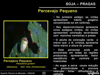 Suporte Técnico ao Mercado – 2003/04
SOJA – PRAGAS
Percevejo Pequeno
Percejevo Pequeno
Piezodorus guildinii
(Westwood, 1837- Hem.,Pentatomidae)
• No primeiro estágio as ninfas
apresentam hábito gregário
concentrando-se em colônias.
• Seu desenvolvimento apresenta
cinco estágios ninfais. As ninfas
apresentam coloração esverdeada
com manchas vermelhas e pretas
• O adulto de coloração verde e
menor que o N. viridula, apresenta
listra maron a altura do pronoto
• Este percevejo pode ser
encontrado em todas as regiões
produtoras, apresentando maior
resistência ao controle por
inseticidas
• Ao sugar a seiva causa redução
na produtividade e provoca
retenção foliar dificultando a
colheita
 