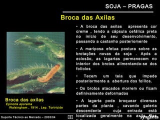 Suporte Técnico ao Mercado – 2003/04
SOJA – PRAGAS
Broca das Axilas
• A broca das axilas apresenta cor
creme , tendo a cápsula cefálica preta
no início de seu desenvolvimento,
passando a castanho posteriomente
• A mariposa efetua postura sobre as
brotações novas da soja . Após a
eclosão, as lagartas permanecem no
interior dos brotos alimentando-se dos
folíolos
• Tecem um teia que impede
posteriormente a abertura dos folílos.
• Os brotos atacados morrem ou ficam
definivamente deformados
• A lagarta pode broquear diversas
partes da planta , cavando galeria
descendente cuja entrada está
localizada geralmente na axila das
Broca das axilas
Epinotia aporema
Walsingham , 1914 , Lep. Tortricide
 