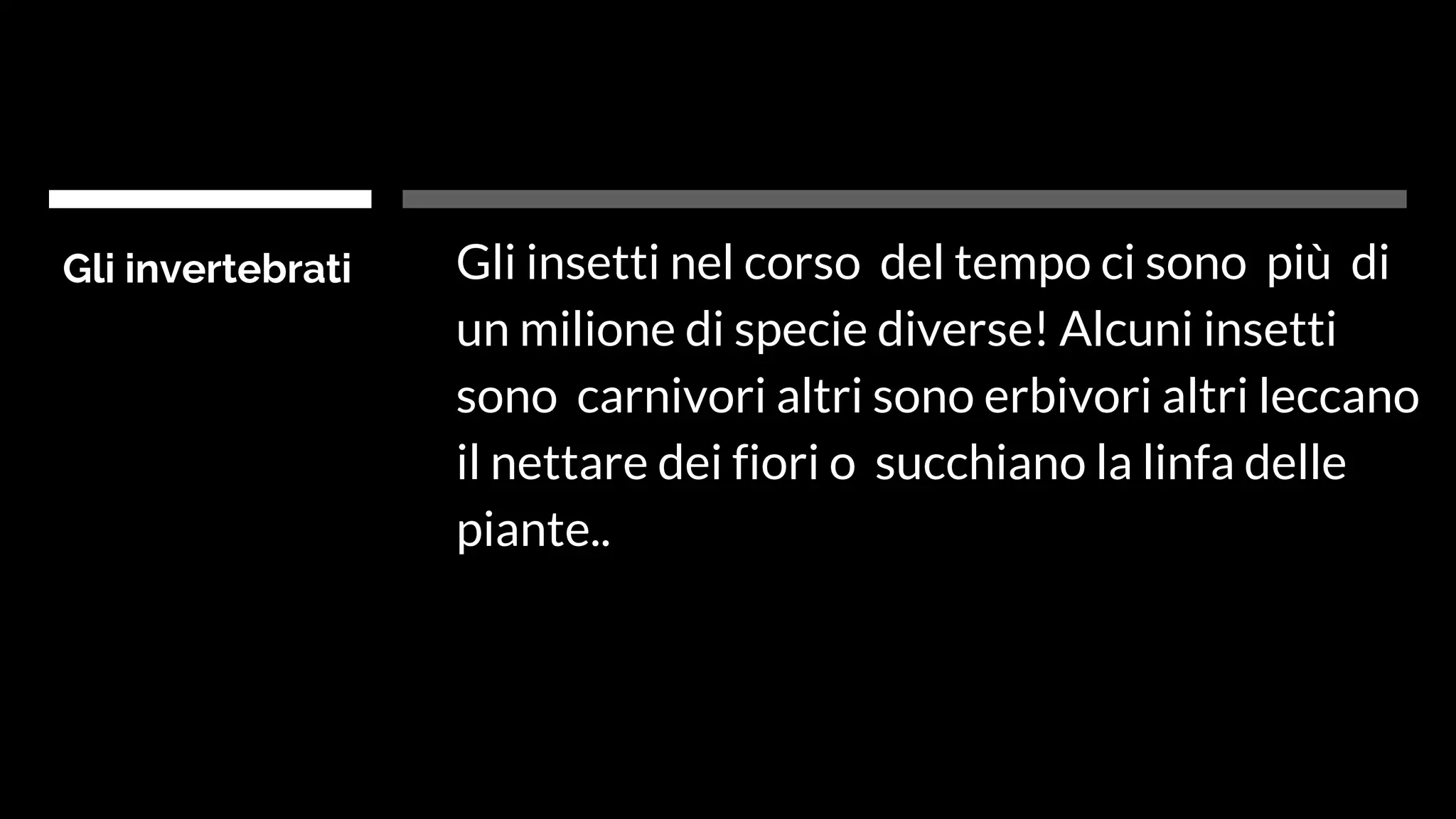 Teste Insetti Insetti | PDF