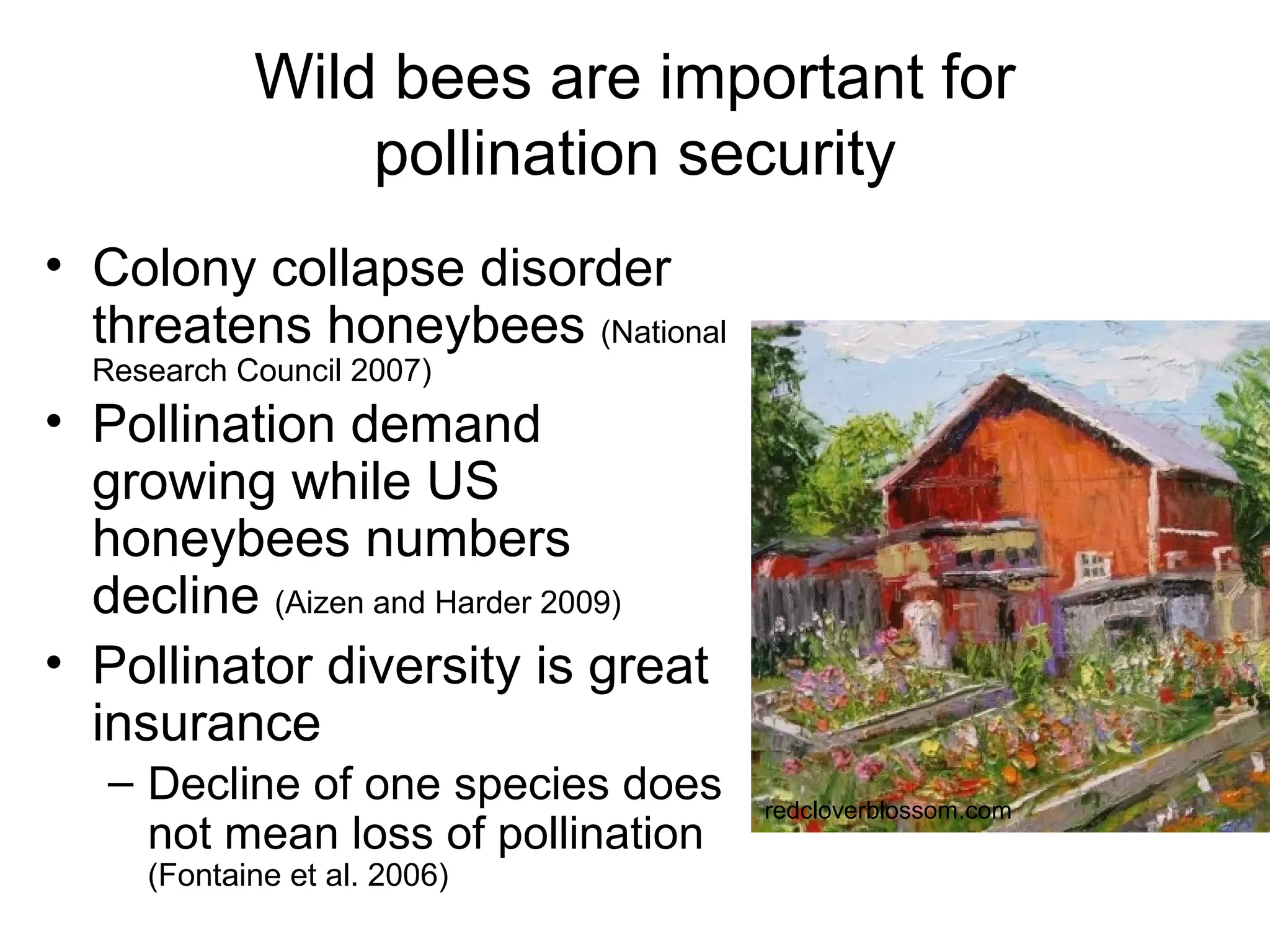 Wild bees are important for
pollination security
• Colony collapse disorder
threatens honeybees (National
Research Council 2007)
• Pollination demand
growing while US
honeybees numbers
decline (Aizen and Harder 2009)
• Pollinator diversity is great
insurance
– Decline of one species does
not mean loss of pollination
(Fontaine et al. 2006)
redcloverblossom.com
 