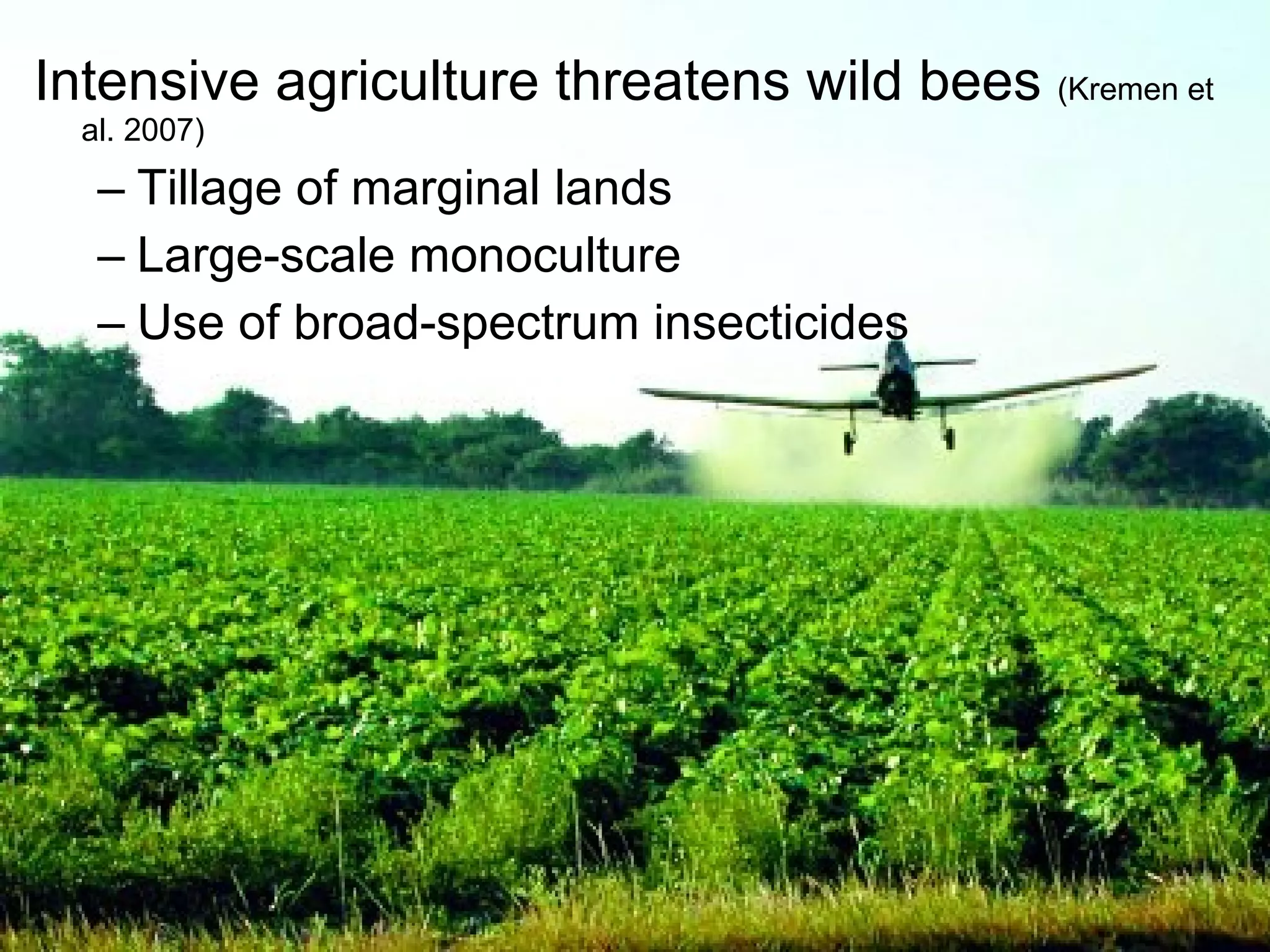 Intensive agriculture threatens wild bees (Kremen et
al. 2007)
– Tillage of marginal lands
– Large-scale monoculture
– Use of broad-spectrum insecticides
 