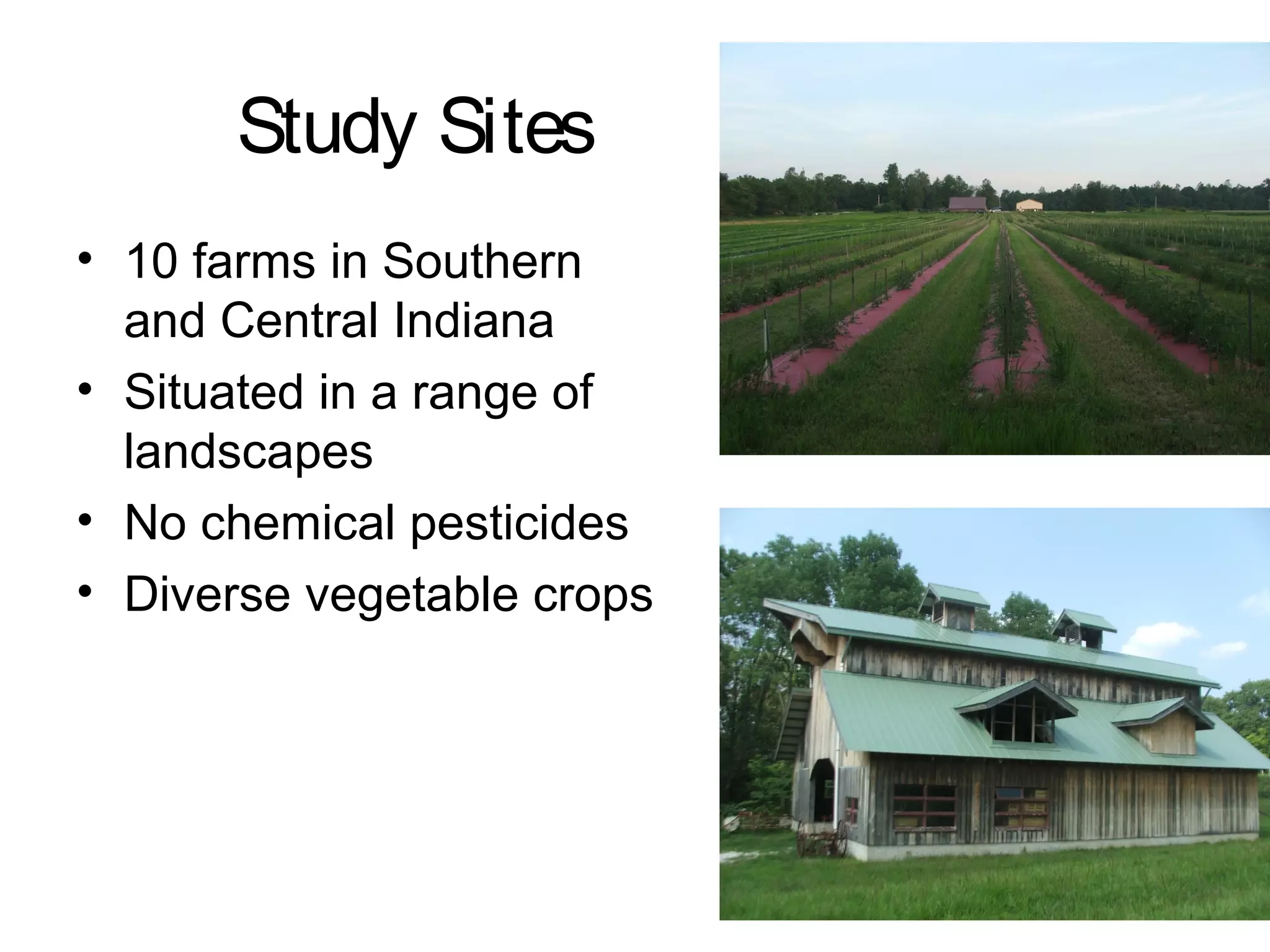 Study Sites
• 10 farms in Southern
and Central Indiana
• Situated in a range of
landscapes
• No chemical pesticides
• Diverse vegetable crops
 